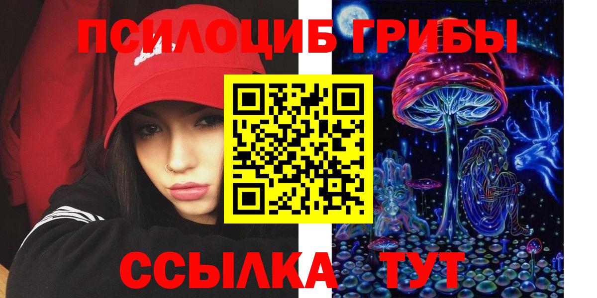 цены наркотик  Галлюциногенные грибы Psilocybine cubensis  Шатура  Вход с VPN  Галлюциногенные грибы Magic Shrooms 